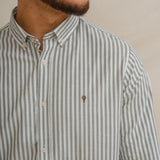 CAMISA OXFORD RAYA VERDE