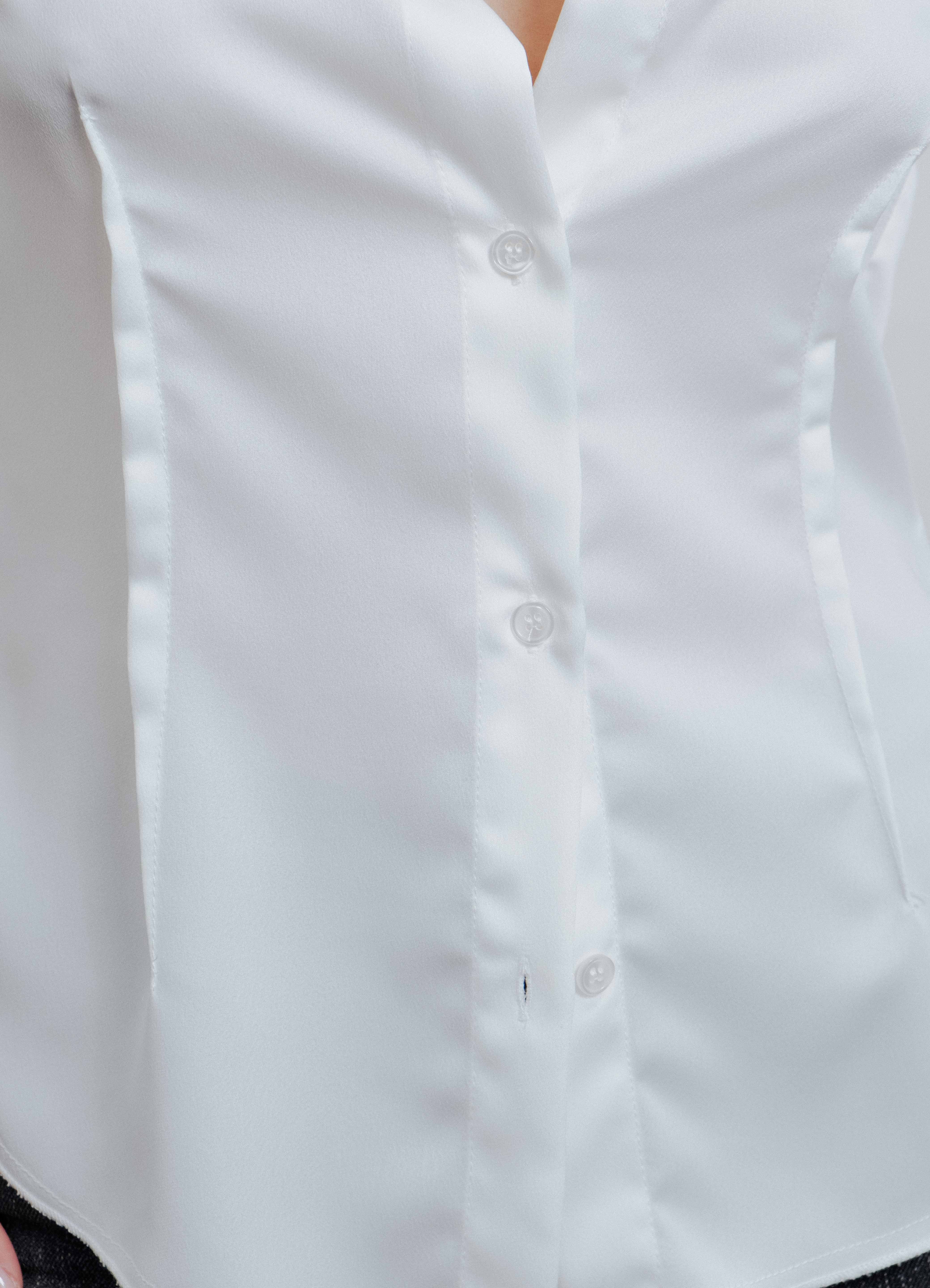 CAMISA ENTALLADA PINZAS